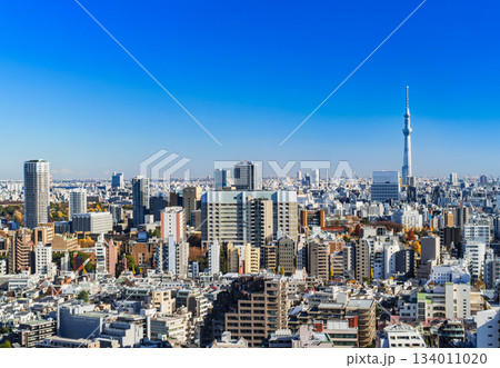 東京　スカイツリーと文京区・台東区周辺 134011020