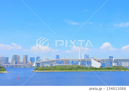 東京都港区、レインボーブリッジの風景 134011089