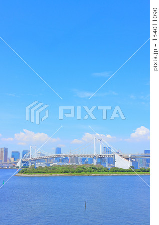 東京都港区、レインボーブリッジの風景 134011090