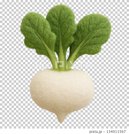 [蔬菜]蘿蔔插畫 134011567