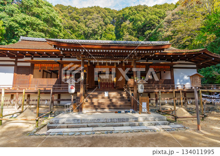 京都府宇治市 宇治上神社の拝殿 京都府宇治市 宇治上神社の拝殿 134011995