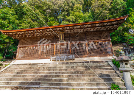 京都府宇治市　宇治上神社の本殿 134011997