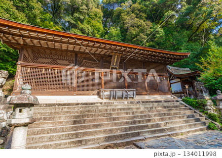 京都府宇治市　宇治上神社の本殿 134011998