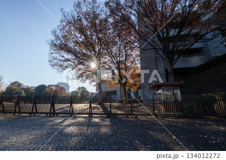 最高裁判所の入り口 134012272