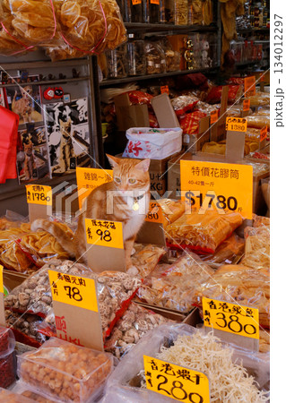 香港・徳輔道西の乾物店で売られる超高級食材の上で店番するネコ 香港・徳輔道西の乾物店で売られる超高級食材の上で店番するネコ 134012297