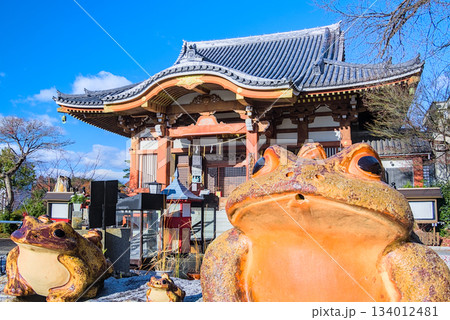 成田山仙台分院・本堂前に佇む迫力満点のガマ大師 成田山仙台分院・本堂前に佇む迫力満点のガマ大師 134012481