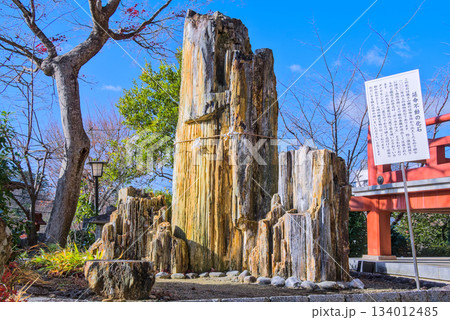 成田山仙台分院・迫力ある延命不動の化石と霊験の岩 134012485