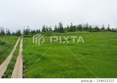 【山の風景】群馬県・至仏山・オヤマ沢田代 【山の風景】群馬県・至仏山・オヤマ沢田代 134012513