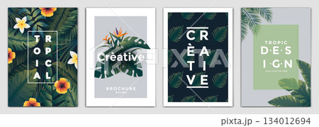Tropical Flyer Design 3 Tropical Flyer Design 3 134012694