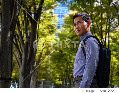 都会のビジネスマン 都会のビジネスマン 134012721