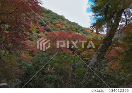青空と紅葉した山 青空と紅葉した山 134012896
