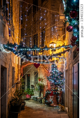 Narrow alley with cats decorated with garland and string lights in Kotor 134013123