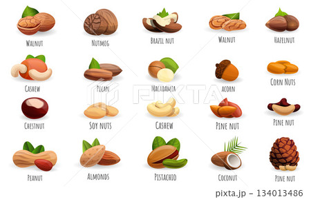 Nut icon set, cartoon style Nut icon set, cartoon style 134013486