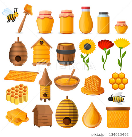 Honey icon set, cartoon style 134013492