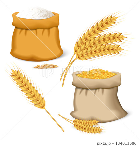 Barley wheat icon set, realistic style 134013686