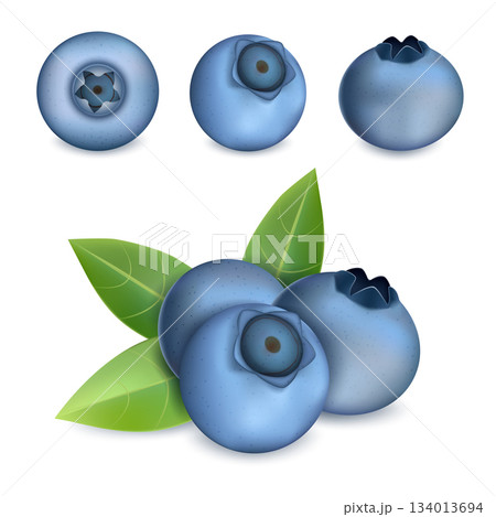 Bilberry icons set, realistic style Bilberry icons set, realistic style 134013694