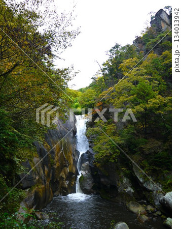 紅葉に囲まれた仙娥滝 紅葉に囲まれた仙娥滝 134013942