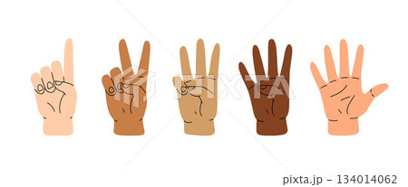 Counting with fingers. Hand gesturing, arm showing one, two, three, four and five numbers, digits. Countdown, score, elementary math learning. Flat vector illustration isolated on white background Counting with fingers. Hand gesturing, arm showing one, two, three, four and five numbers, digits. Countdown, score, elementary math learning. Flat vector illustration isolated on white background 134014062