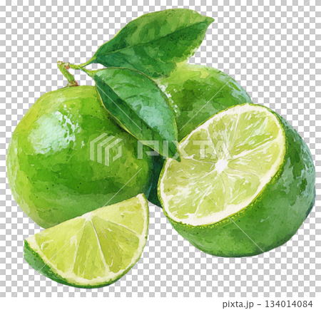 lime lime 134014084