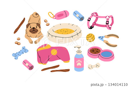 Dog accessories and toys supply set for puppy shop. Veterinary food product and care goods, dog clothes and beds. vector illustration isolated on white background Dog accessories and toys supply set for puppy shop. Veterinary food product and care goods, dog clothes and beds. vector illustration isolated on white background 134014110