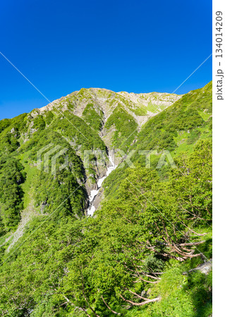 大倉尾根から見上げる赤石岳の山頂 南アルプス赤石岳登山 大倉尾根から見上げる赤石岳の山頂 南アルプス赤石岳登山 134014209