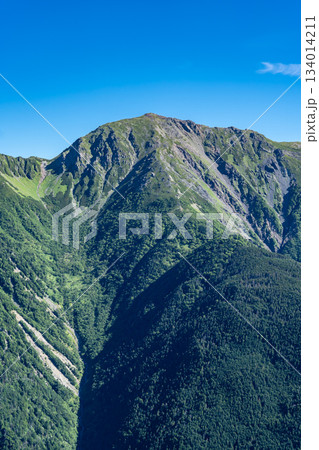 大倉尾根の富士見平から見る悪沢岳(東岳) 南アルプス赤石岳登山 大倉尾根の富士見平から見る悪沢岳(東岳) 南アルプス赤石岳登山 134014211