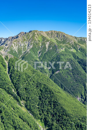 大倉尾根の富士見平から見る荒川岳(荒川三山) 南アルプス赤石岳登山 大倉尾根の富士見平から見る荒川岳(荒川三山) 南アルプス赤石岳登山 134014213