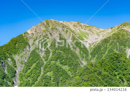 大倉尾根の富士見平から見る赤石岳 南アルプス赤石岳登山 大倉尾根の富士見平から見る赤石岳 南アルプス赤石岳登山 134014216