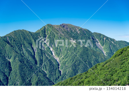 大倉尾根の富士見平から見る聖岳（前聖岳と奥聖岳）　南アルプス赤石岳登山 134014218