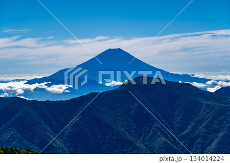 大倉尾根の富士見平から見る富士山　南アルプス赤石岳登山 134014224
