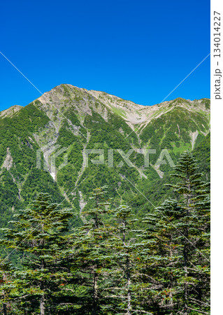 赤石小屋から見る赤石岳の山頂 南アルプス赤石岳登山 赤石小屋から見る赤石岳の山頂 南アルプス赤石岳登山 134014227