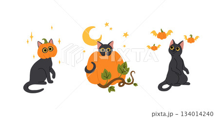 Cute black cat hiding behind a Halloween pumpkin and leaves, black cat with pumpkin on head, cat standing playing with flying pumpkins. Flat cartoon vector illustration for halloween. Cute black cat hiding behind a Halloween pumpkin and leaves, black cat with pumpkin on head, cat standing playing with flying pumpkins. Flat cartoon vector illustration for halloween. 134014240