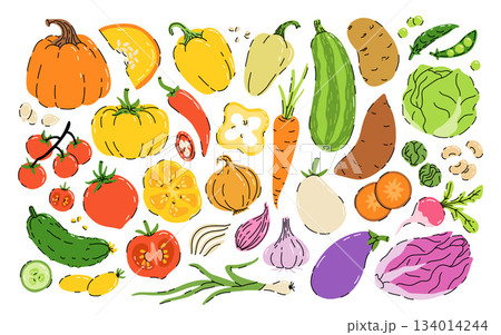 Collection of hand drawn vegetable illustrations isolated on white background. Bundle of fresh delicious vegan diet vegetarian products, wholesome healthy food, cooking ingredients. Flat cartoon style 134014244
