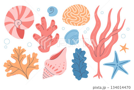 Set of underwater ocean coral reef plants, corals, anemones and shells. Aquatic and aquarium seaweeds, tropical coral-reef elements. Marine algae, sea wildlife, sponges, seagrasses and mollusk shells. 134014470