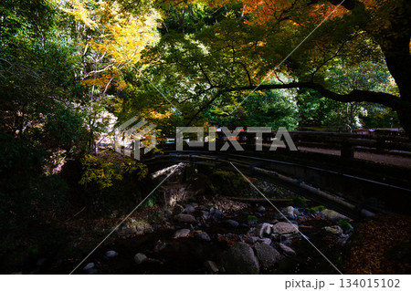 小川に掛かる橋と紅葉 小川に掛かる橋と紅葉 134015102