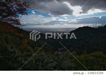 紅葉の山から見た風景 紅葉の山から見た風景 134015104