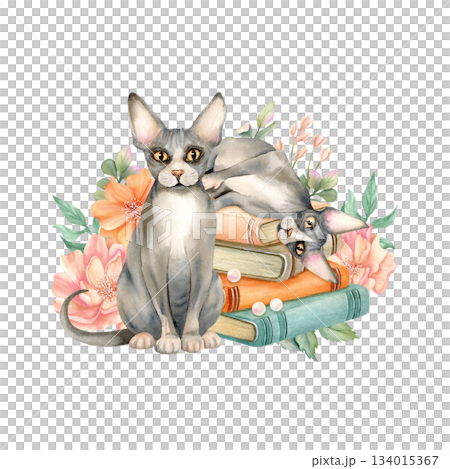 Two sphynx cat is lying on stack of books and stand with delicate flowers behind. Cozy spring composition with cute Sphinx kitty on old literature. Watercolor illustration isolated from background 134015367