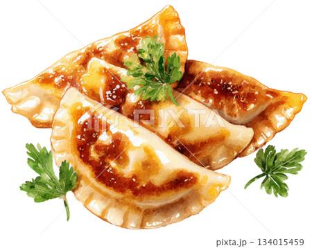 polish pierogi 134015459