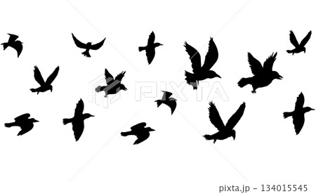 Flying flock of birds silhouette, Simple swallows in flight, crows in the sky. Group of birds border. 134015545