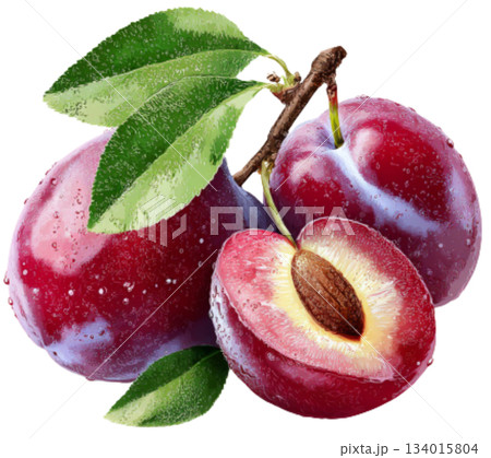 plum 134015804