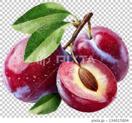 plum 134015804
