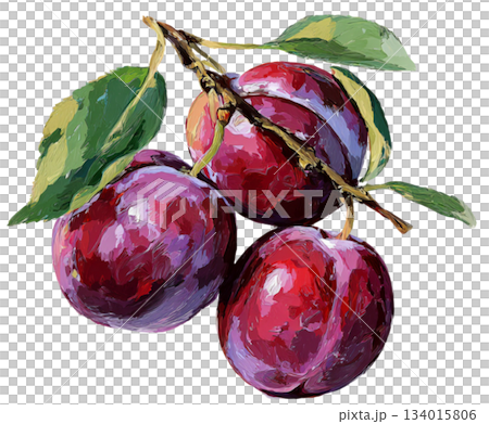 plum 134015806