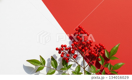 紅白の水引と松の葉が美しい正月飾り 134016029