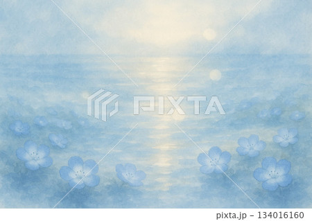 ネモフィラシリーズ：水面に反射する光とネモフィラの丘 134016160