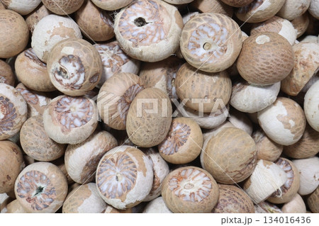 betel nut on shop for sell are cash crops 134016436