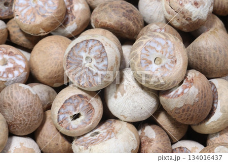 betel nut on shop for sell are cash crops betel nut on shop for sell are cash crops 134016437