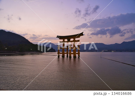 【広島県・宮島】厳島神社・大鳥居・夕焼け・マジックアワー 134016686