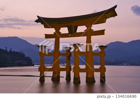 【広島県・宮島】厳島神社・大鳥居・夕焼け・マジックアワー 134016690