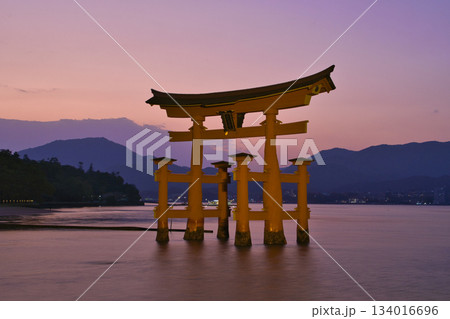【広島県・宮島】厳島神社・大鳥居・夕焼け・マジックアワー 【広島県・宮島】厳島神社・大鳥居・夕焼け・マジックアワー 134016696