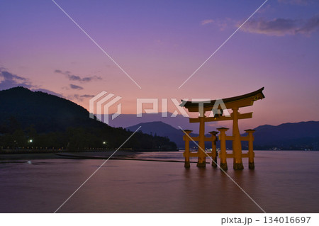 【広島県・宮島】厳島神社・大鳥居・夕焼け・マジックアワー 【広島県・宮島】厳島神社・大鳥居・夕焼け・マジックアワー 134016697